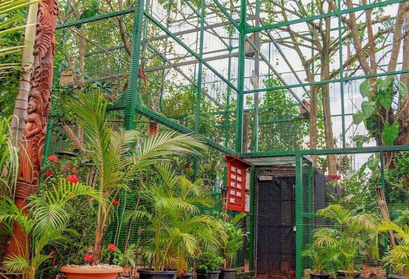 استراحتگاه The Sanctuary Hotel And Spa