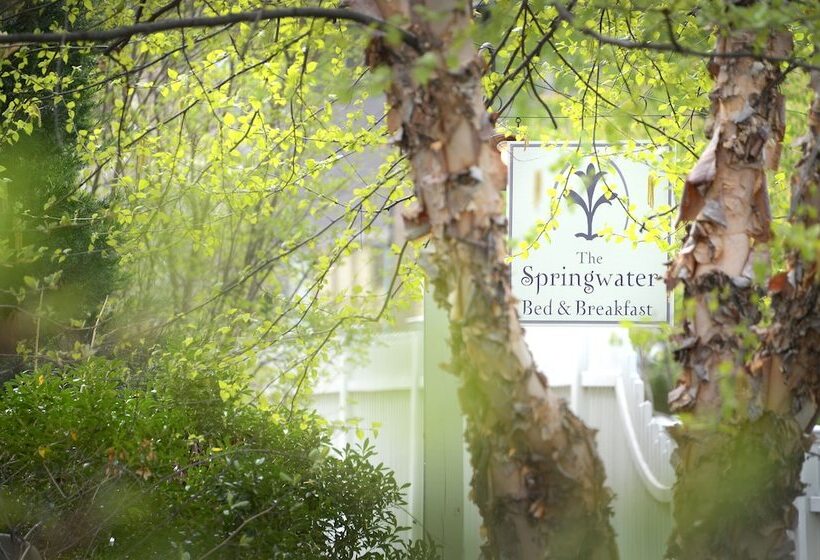 The Springwater Bed And Breakfast