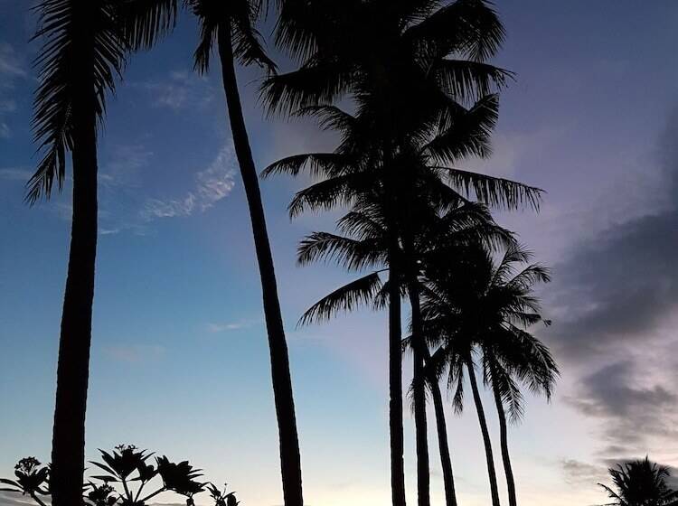 ベッドアンドブレックファースト 77 Sunset Plaza