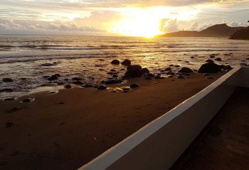 ベッドアンドブレックファースト 77 Sunset Plaza