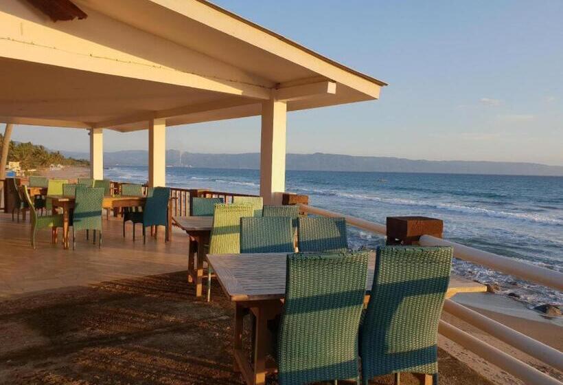 ベッドアンドブレックファースト 77 Sunset Plaza