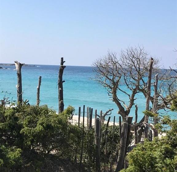 住宿加早餐 Au Pied Des Oliviers