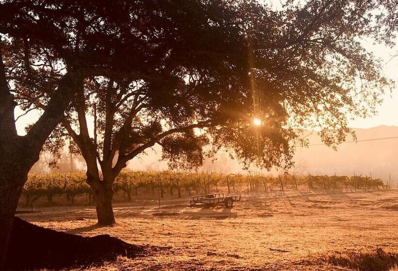 ベッドアンドブレックファースト Bed & Barrel At Stonehouse Cellars