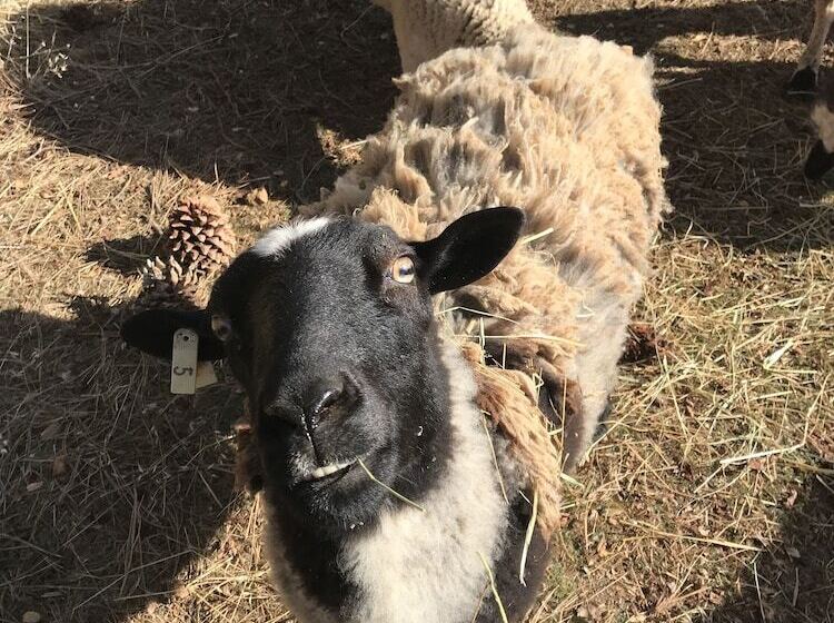 ベッドアンドブレックファースト Bed & Barrel At Stonehouse Cellars