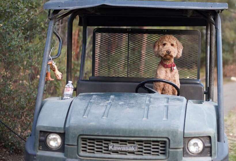 ベッドアンドブレックファースト Bed & Barrel At Stonehouse Cellars