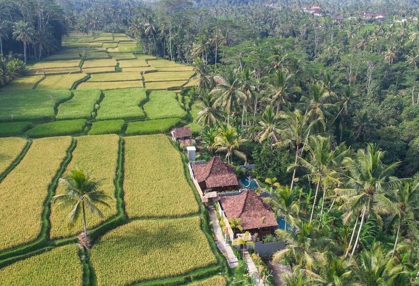 צימר Mandana Ubud Villa