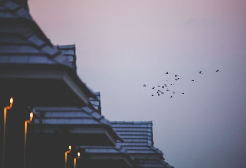 Chapulin Natural Resort