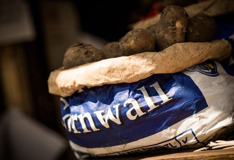 فندق فئة نجمة واحدة 4 Degrees West