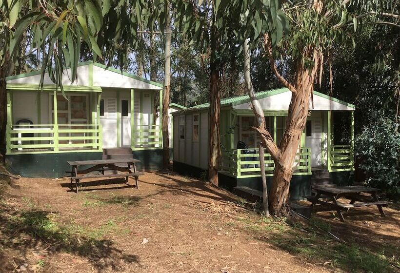 Хостел Camping Du Soleil