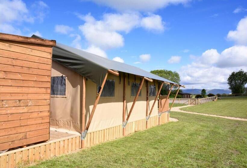 簡易ホテル Carr S Hill Luxury Safari Tents