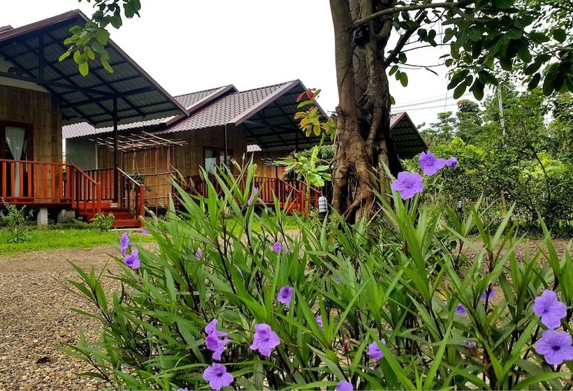 Хостел Chiang Dao Reset