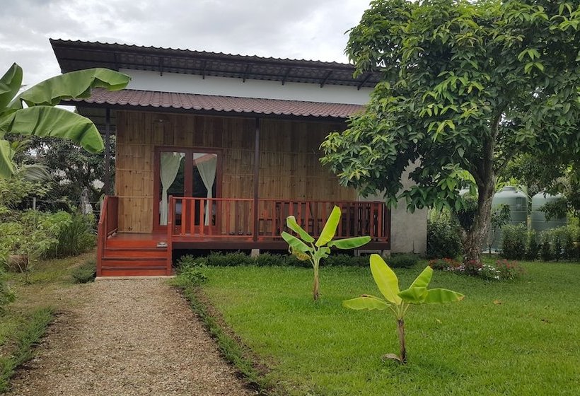 Хостел Chiang Dao Reset