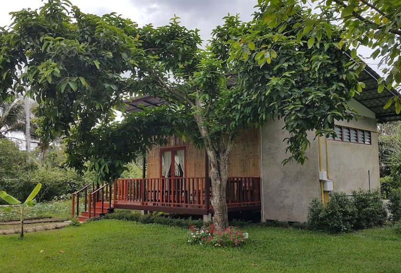 Хостел Chiang Dao Reset