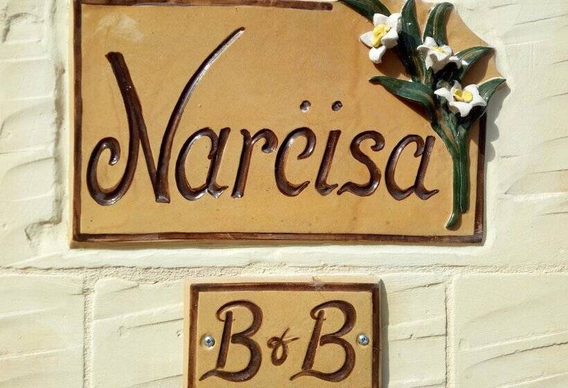 مسافرخانه Narcisa Farmhouse B&b