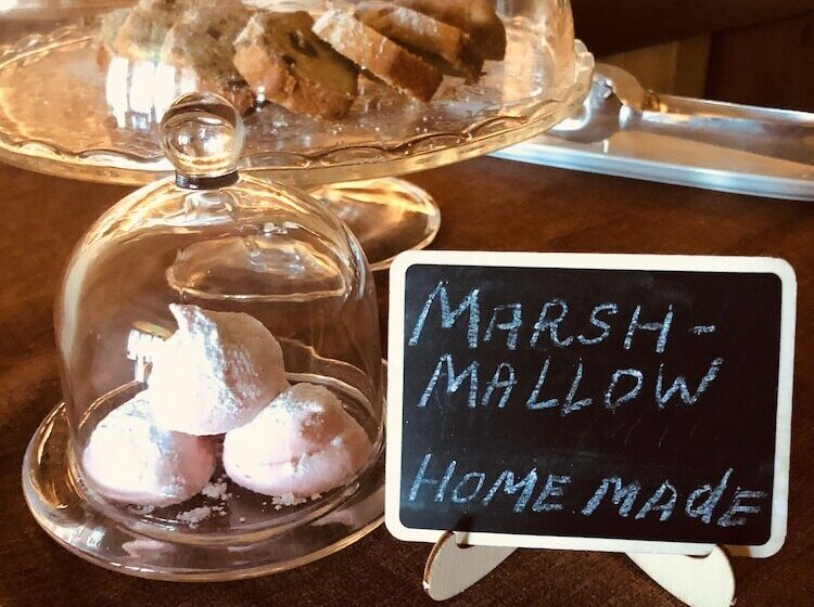 مسافرخانه Narcisa Farmhouse B&b