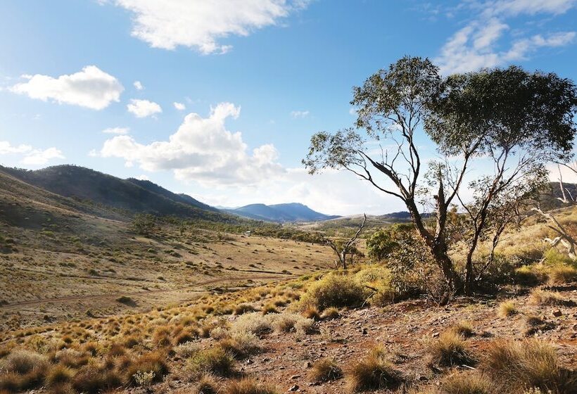 여관 Pichi Richi Park