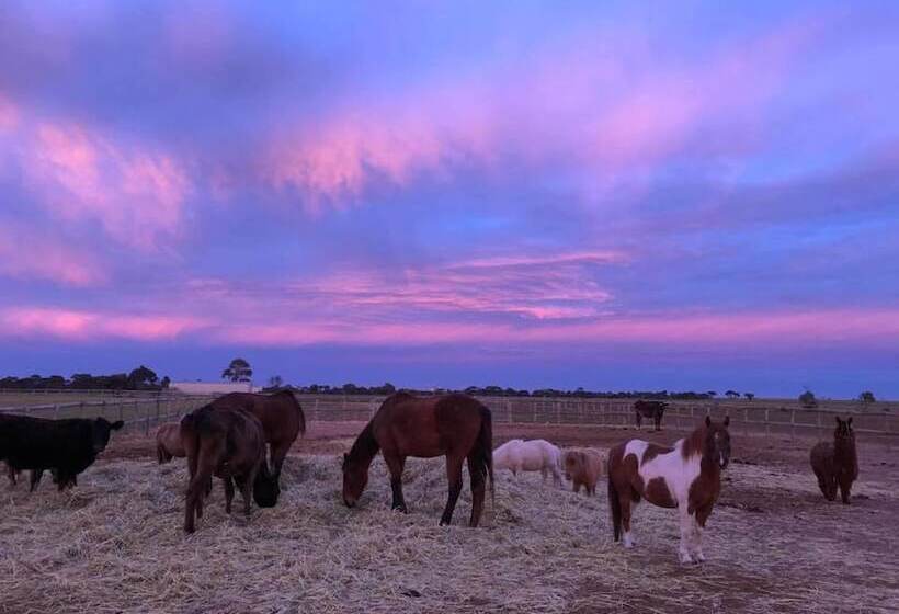 客栈  Tarnasey Farm