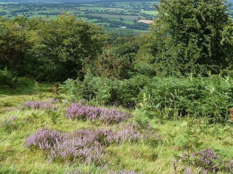 簡易ホテル Yurt Luxury & Bathouse