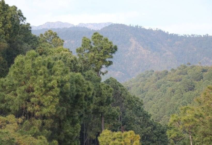 ホテル Ashiana Palampur