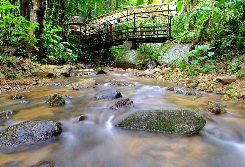 酒店 Baan Suphanbhum Teddu Inn Maekampong