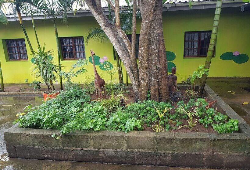 Отель Bibs Backpackers