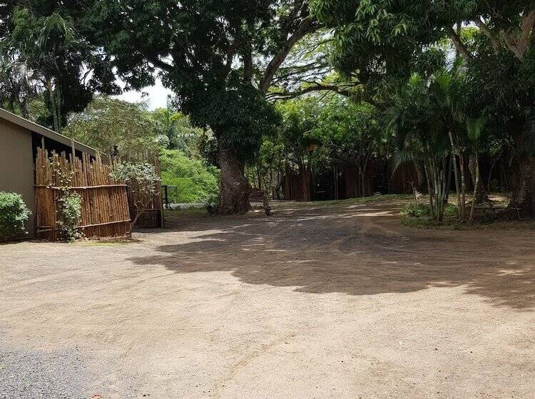 Отель Bibs Backpackers