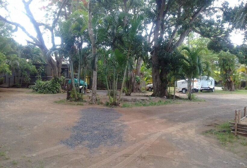 Отель Bibs Backpackers