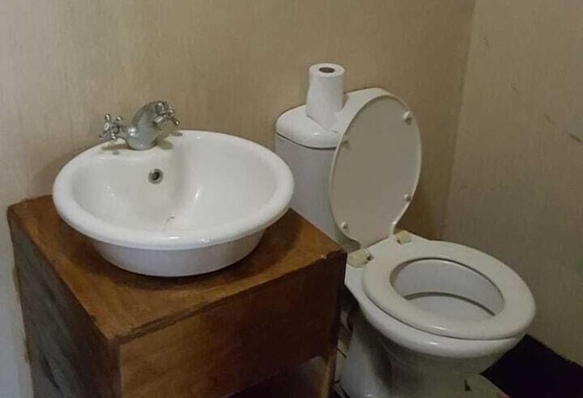 Отель Bibs Backpackers