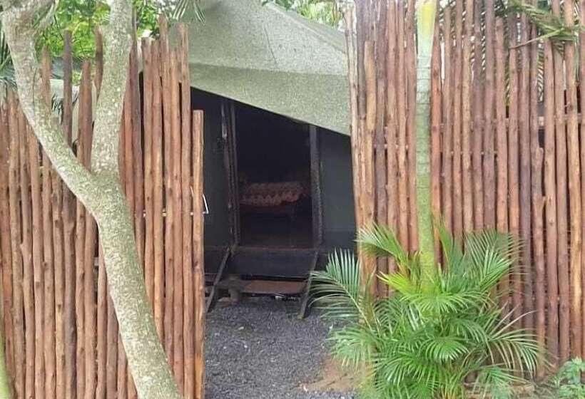 Отель Bibs Backpackers