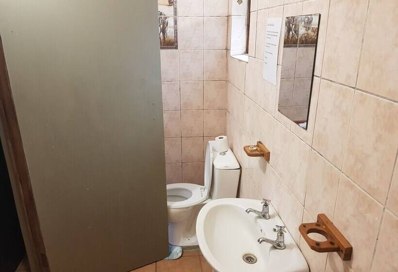 Отель Bibs Backpackers