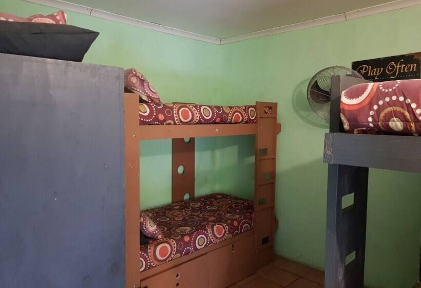 Отель Bibs Backpackers