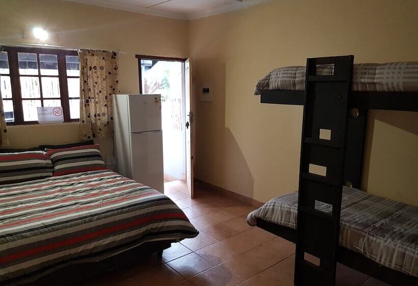 Отель Bibs Backpackers