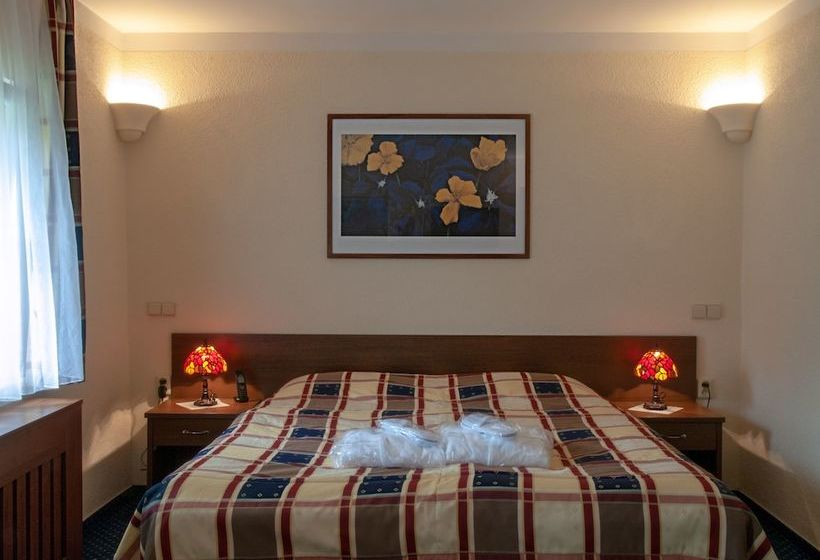 فندق Castle Větrov  Castle  Collection