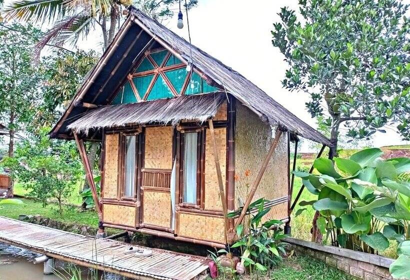 酒店 Cianjur Paddies Hostel