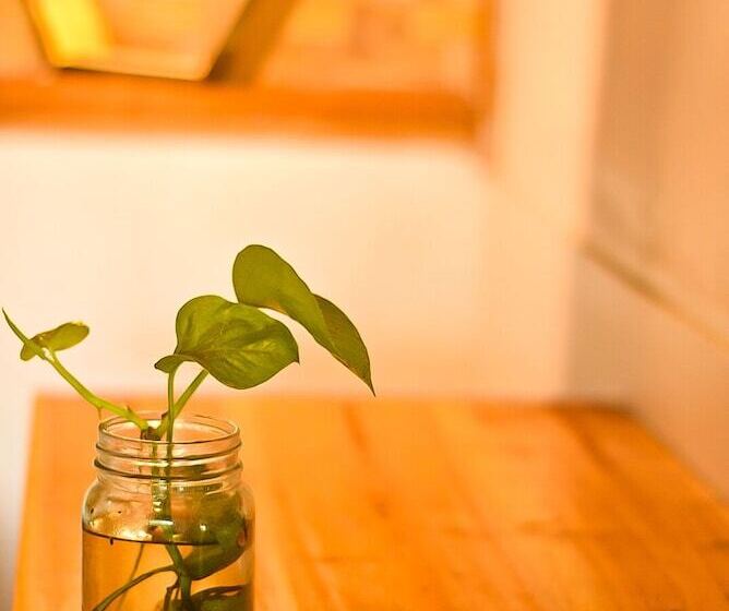 酒店 Cianjur Paddies Hostel