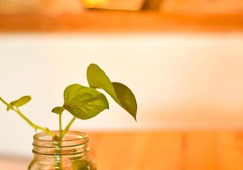 酒店 Cianjur Paddies Hostel