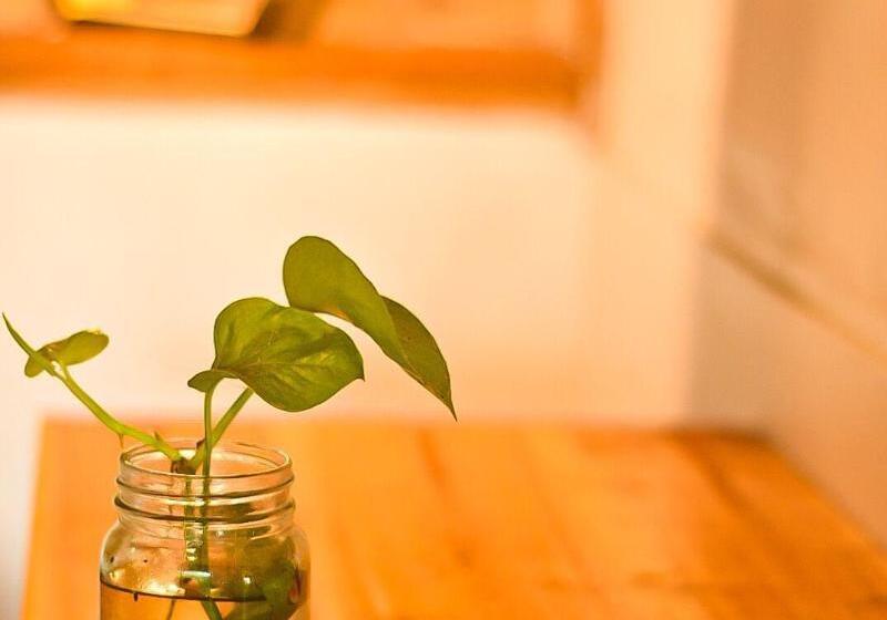 酒店 Cianjur Paddies Hostel