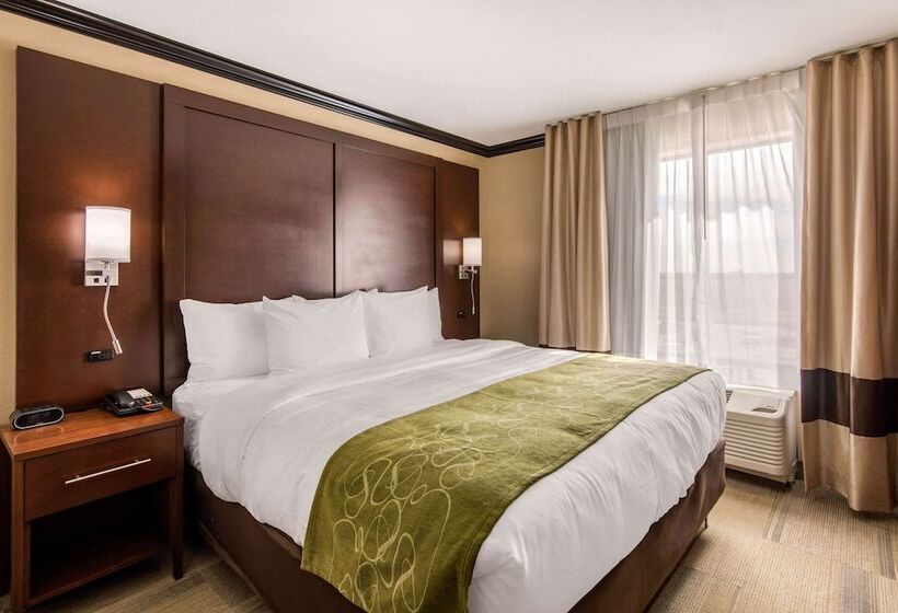 فندق Comfort Suites