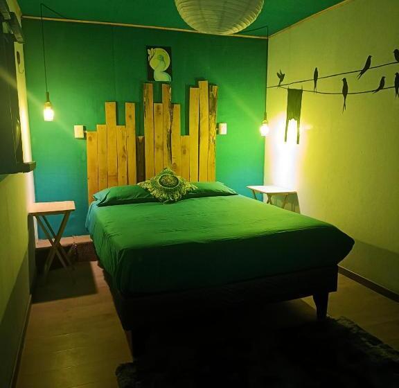 ホテル Ecoluna Lodge Hostel