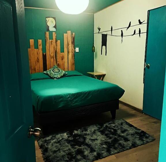 ホテル Ecoluna Lodge Hostel