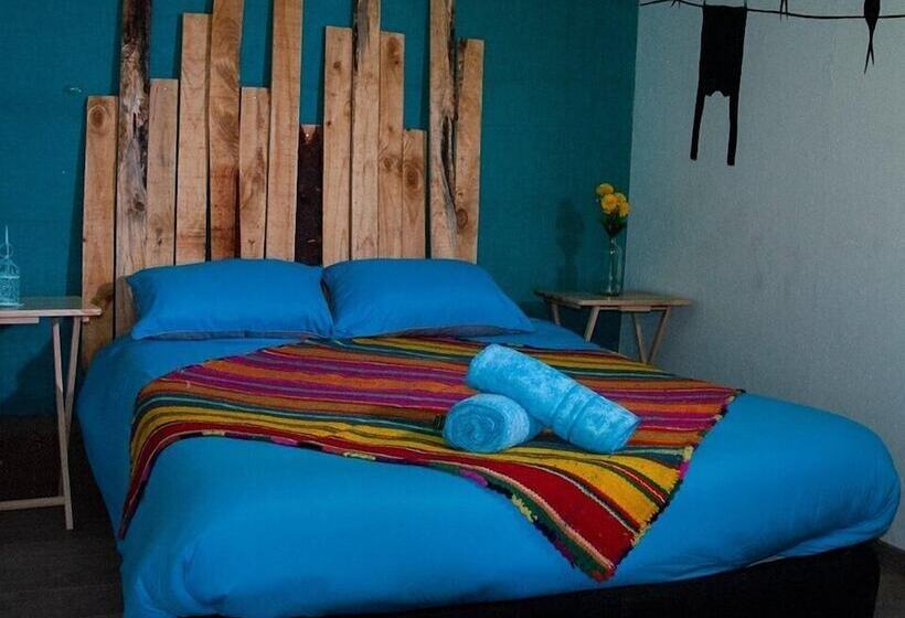 ホテル Ecoluna Lodge Hostel