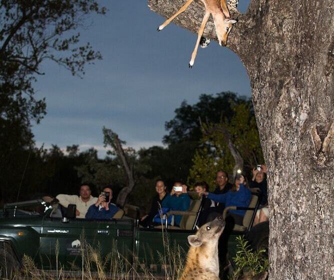 ホテル Elephant Plains Game Lodge