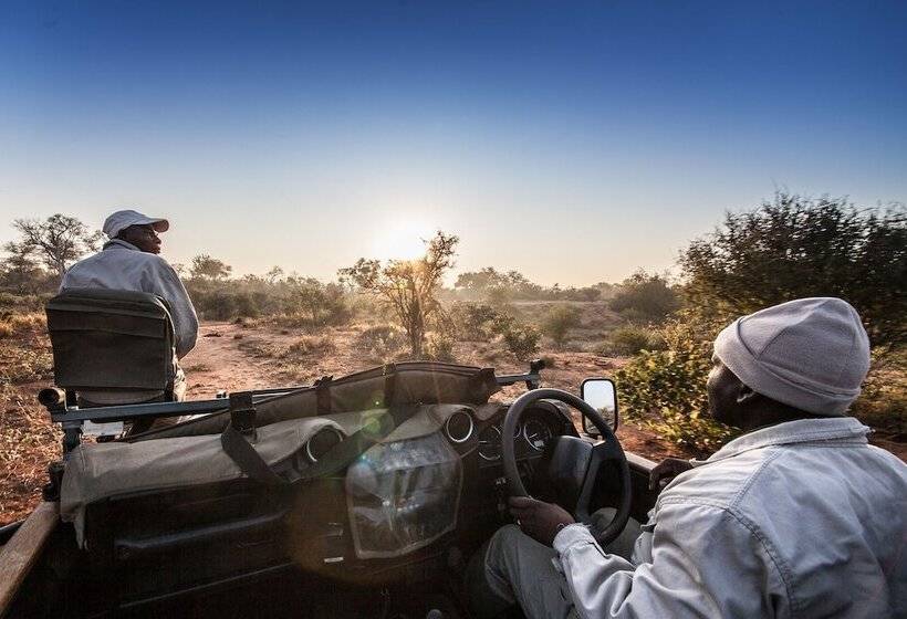 فندق Garonga Safari Camp