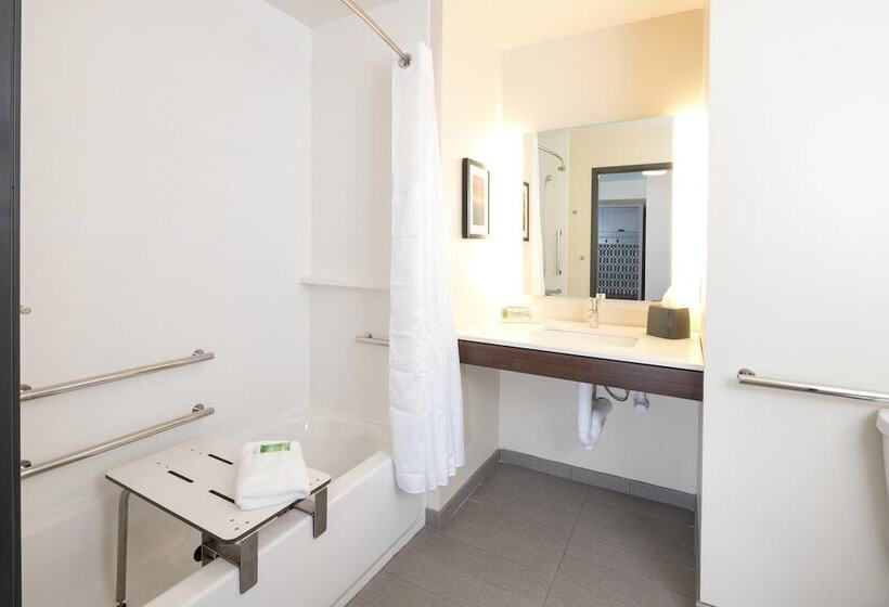 Отель Holiday Inn Kalamazoo West, An Ihg