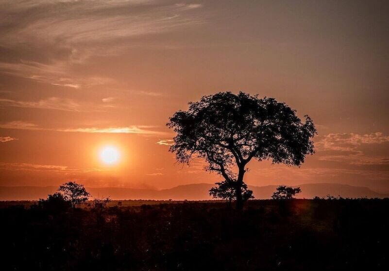 فندق Honeyguide Khoka Moya Camp