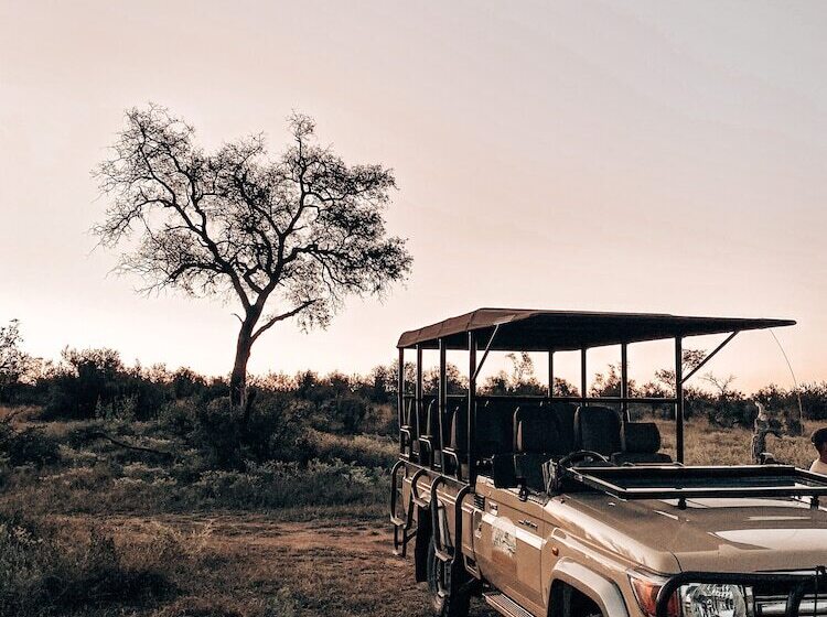 فندق Honeyguide Khoka Moya Camp