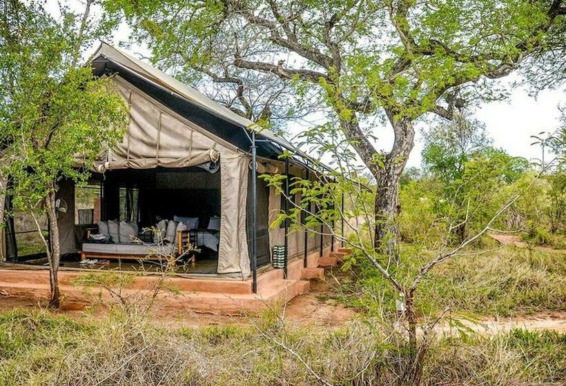 فندق Honeyguide Khoka Moya Camp