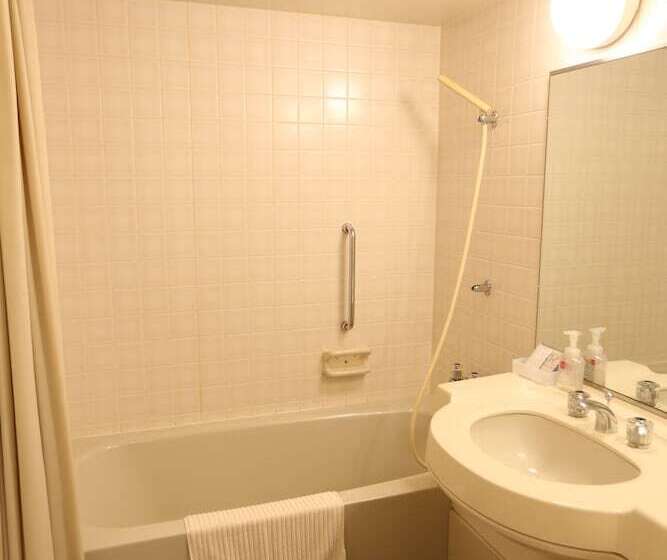 酒店 Japanese Inn Iwaso