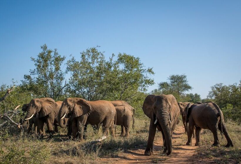 فندق Little Garonga