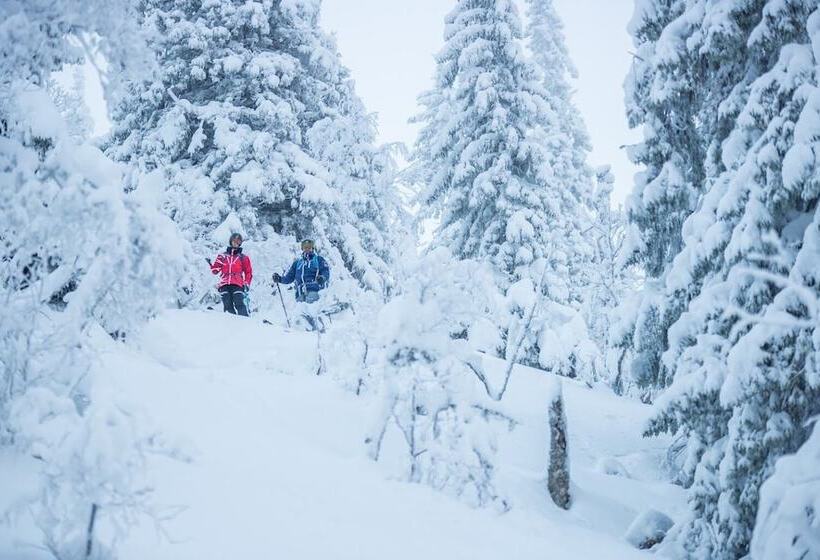 هتل Mountain Lodge